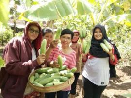 Hasil penanaman kebun milik PKK Desa Gading