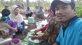 Sambelan kelompok tani Ploso agung